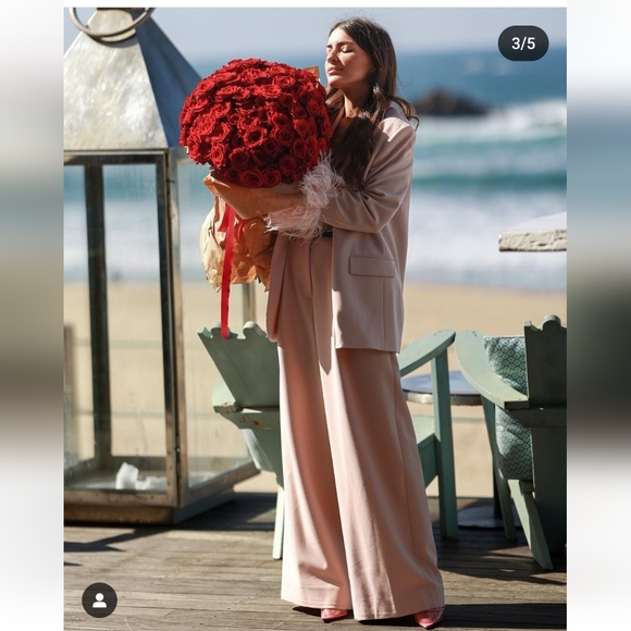 Zara 2 Pc Set Wide Leg Pants & Bustier Beige Pink Bloggers Favorite - Picture 4 of 14